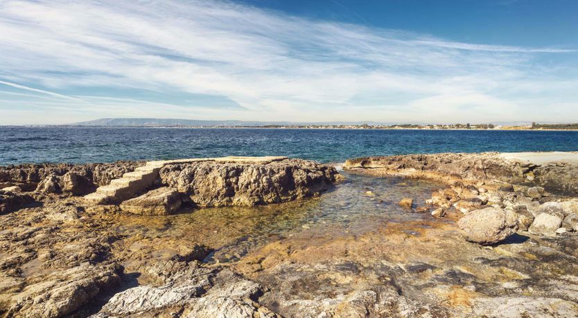 Photo of Gourmet Gazing