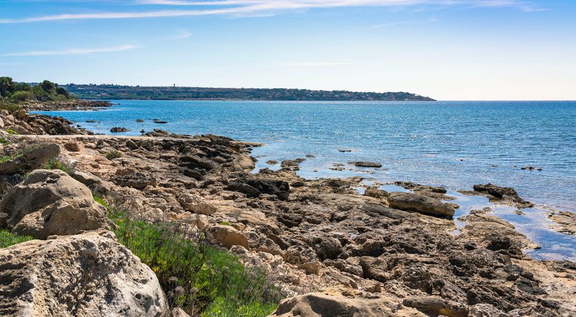 Photo of The Punta Blossom