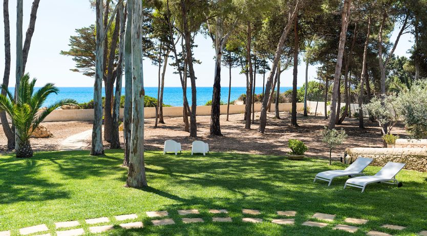 Photo of The Punta Blossom