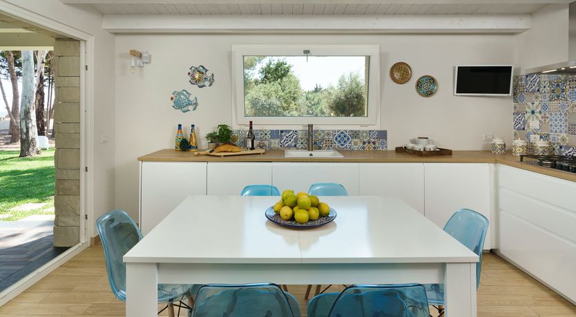 Photo of The Punta Blossom