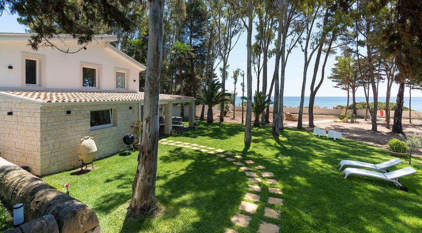 Photo of The Punta Blossom