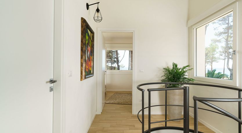 Photo of The Punta Blossom