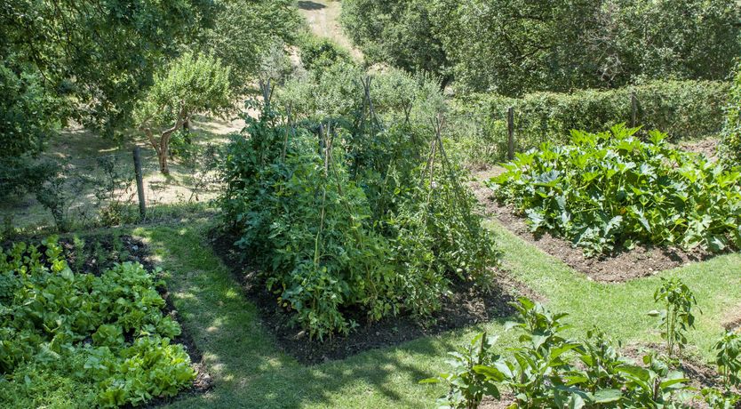 Photo of Carmine Sunset