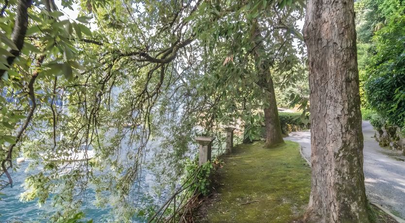 Photo of Romance on the Lake