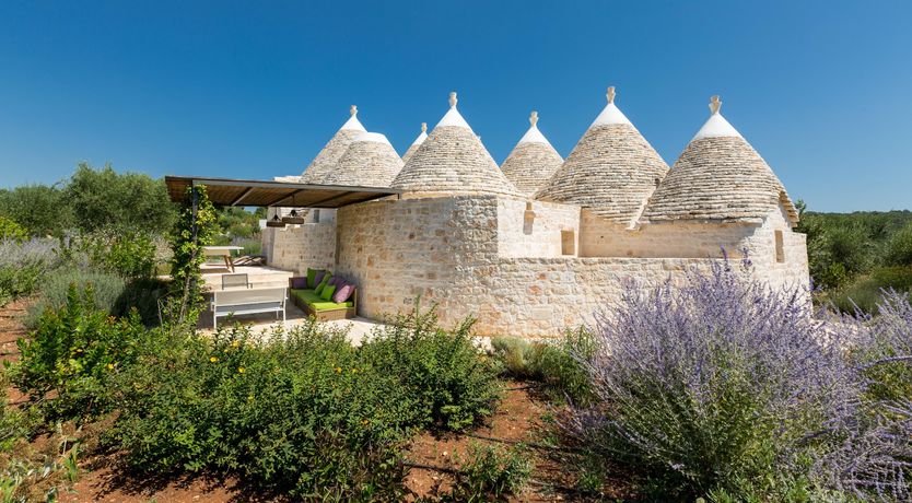 Photo of Sunflower Blush