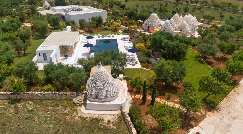 Photo of Sunflower Blush