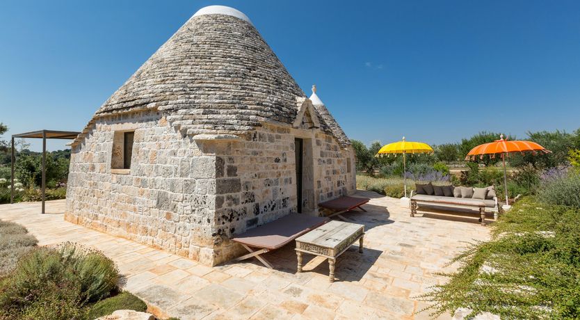 Photo of Sunflower Blush