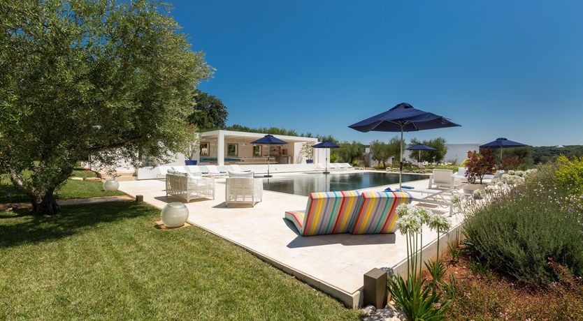 Photo of Sunflower Blush