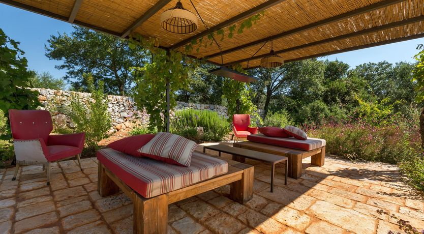 Photo of Sunflower Blush