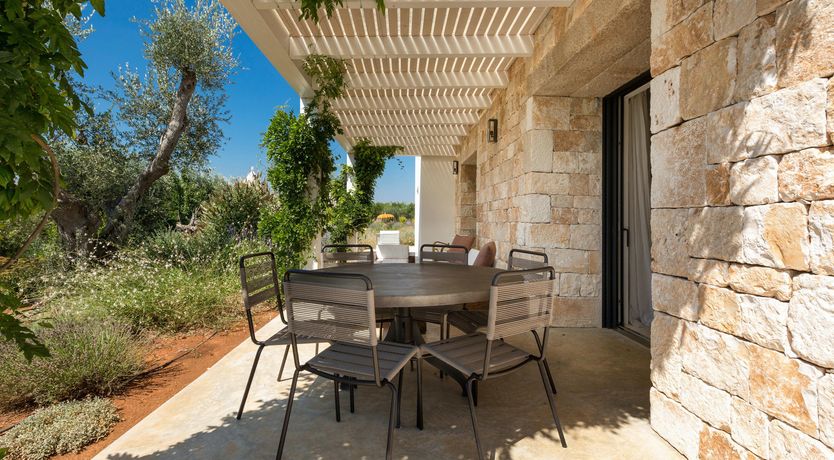 Photo of Sunflower Blush