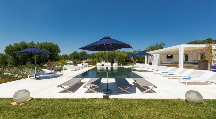 Photo of Sunflower Blush