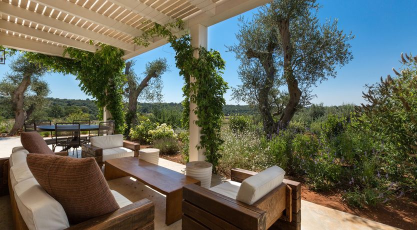 Photo of Sunflower Blush