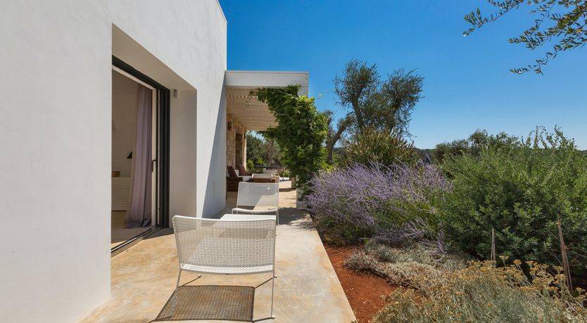 Photo of Sunflower Blush