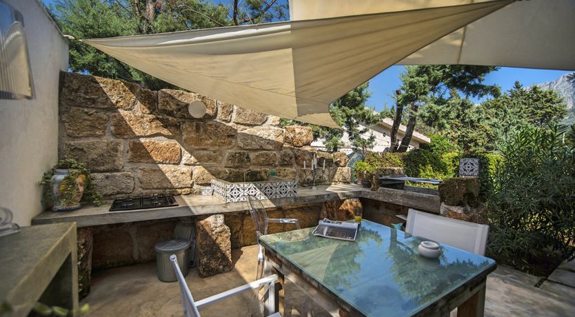 Photo of Citrus On A Starry Sky