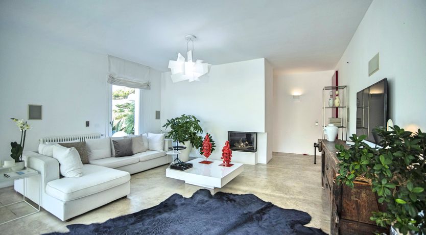 Photo of Citrus On A Starry Sky