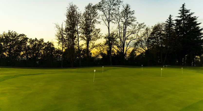 Photo of Lilac Bloom