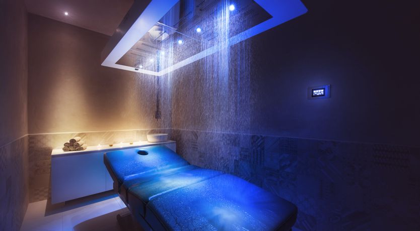 Photo of Lilac Bloom