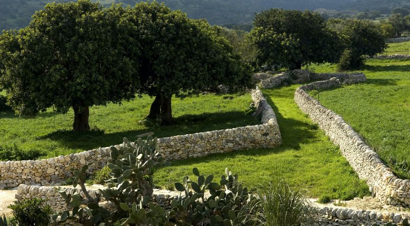 Photo of The Terracotta Plant