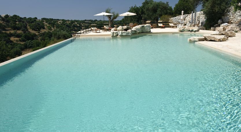 Photo of The Terracotta Plant