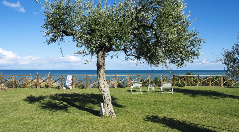 Photo of Sweet Blue Horizon