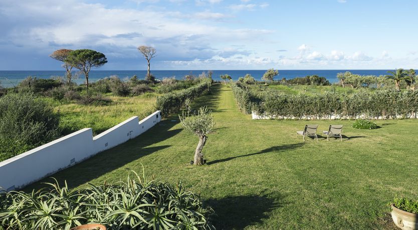 Photo of Sweet Blue Horizon