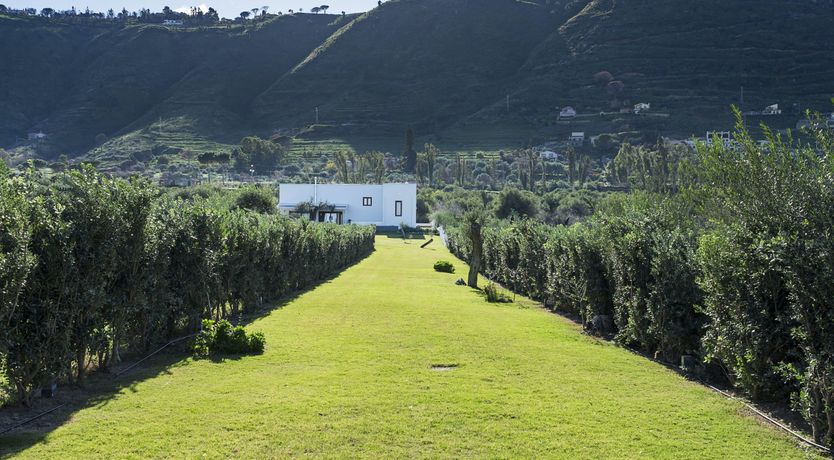 Photo of Sweet Blue Horizon