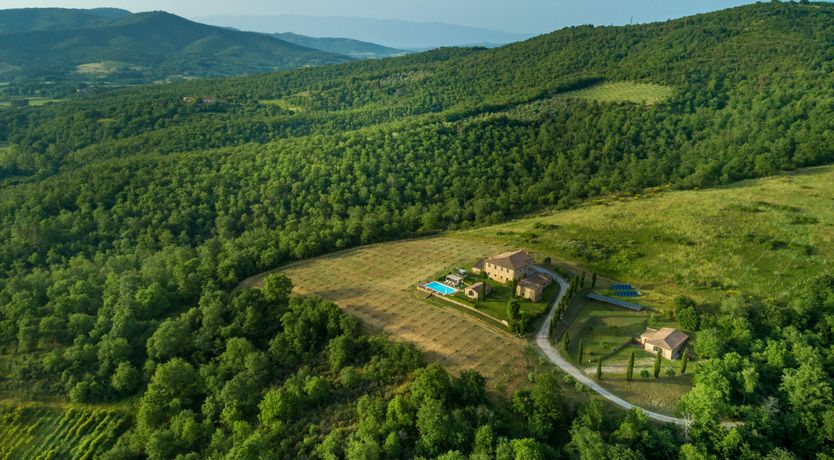 Photo of Lavender & Lemons