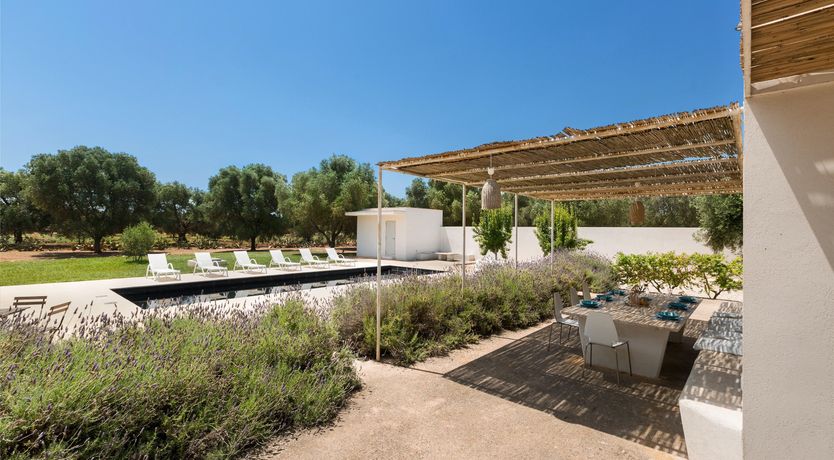 Photo of Turquoise & Olive