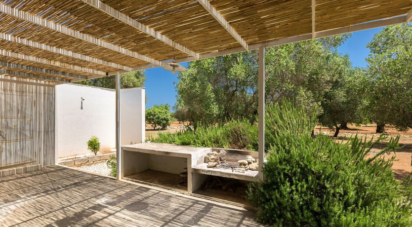 Photo of Turquoise & Olive