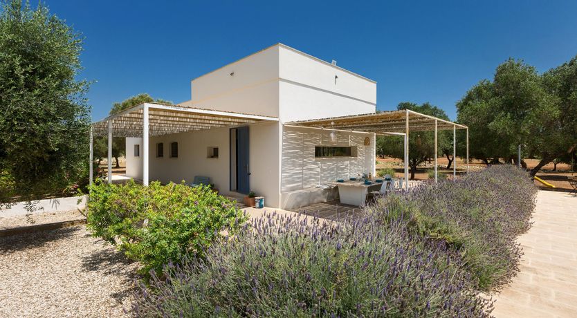 Photo of Turquoise & Olive