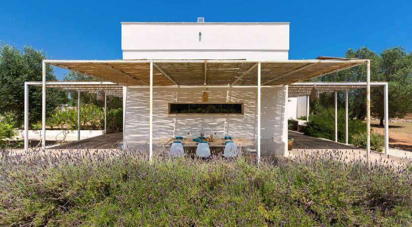 Photo of Turquoise & Olive