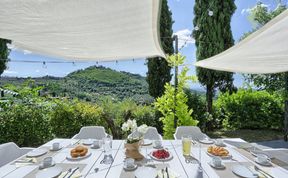 Photo of The Italian Vineyard