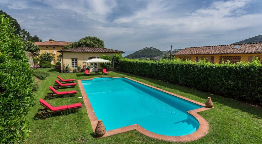 Photo of The Enchanted Grove