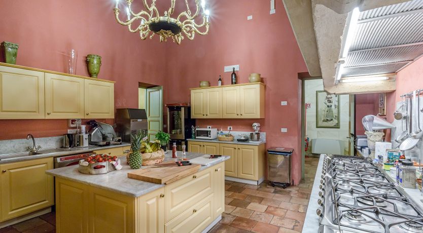 Photo of The Enchanted Grove