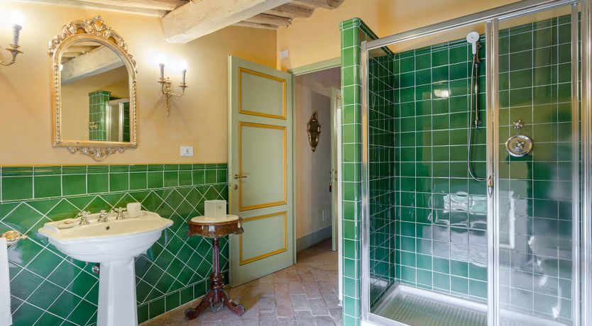 Photo of The Enchanted Grove