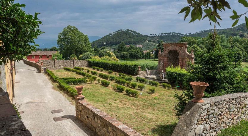 Photo of The Enchanted Grove