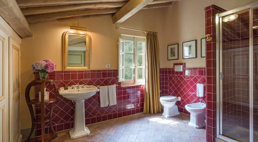 Photo of The Enchanted Grove