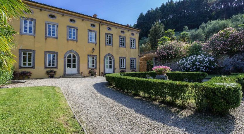 Photo of The Enchanted Grove