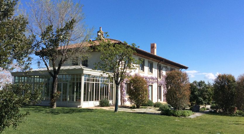 Photo of The Olive Leaf