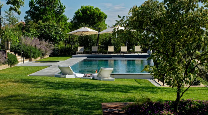 Photo of The Olive Leaf