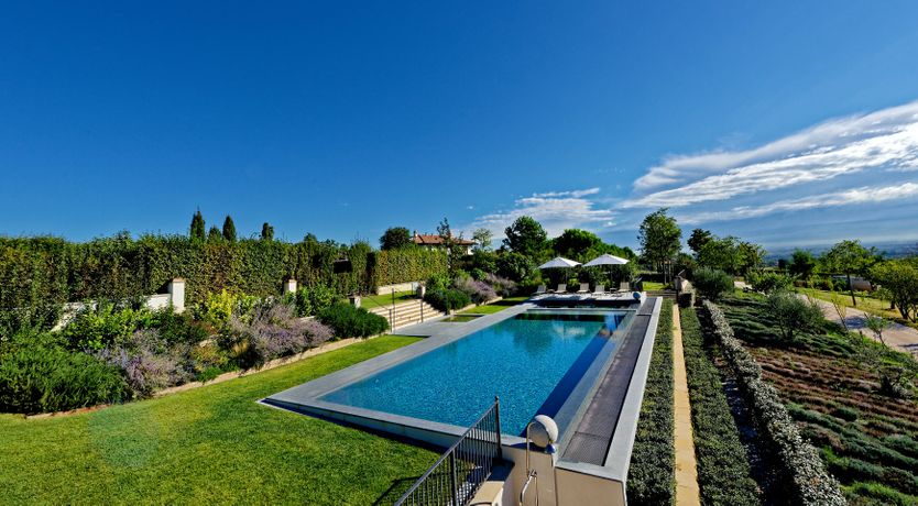 Photo of The Olive Leaf