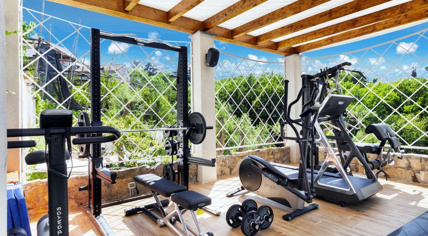 Photo of The Olive Palm