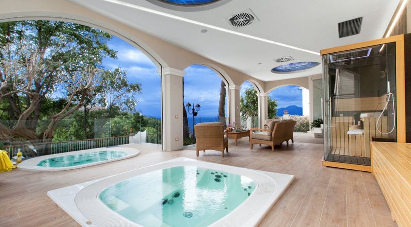 Photo of The Olive Palm