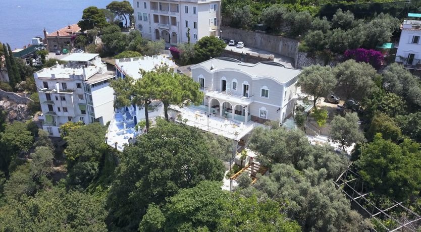 Photo of The Olive Palm