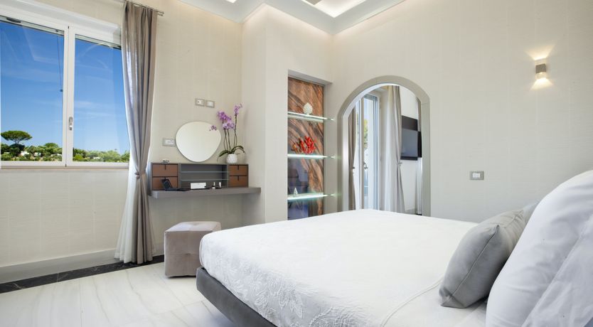 Photo of The Olive Palm