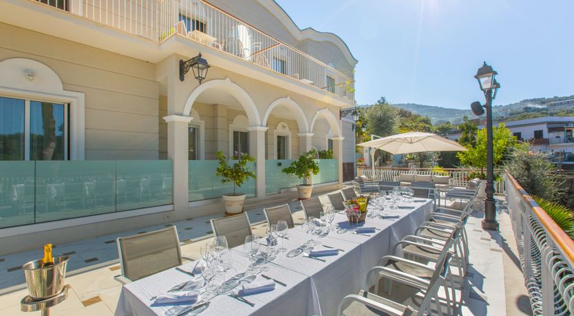 Photo of The Olive Palm