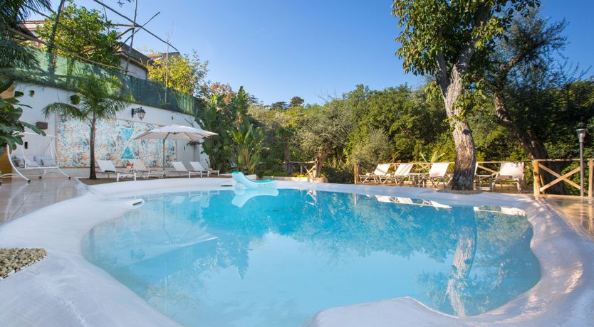 Photo of The Olive Palm