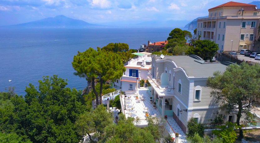 Photo of The Olive Palm