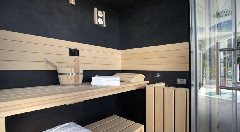 Photo of The Olive Palm