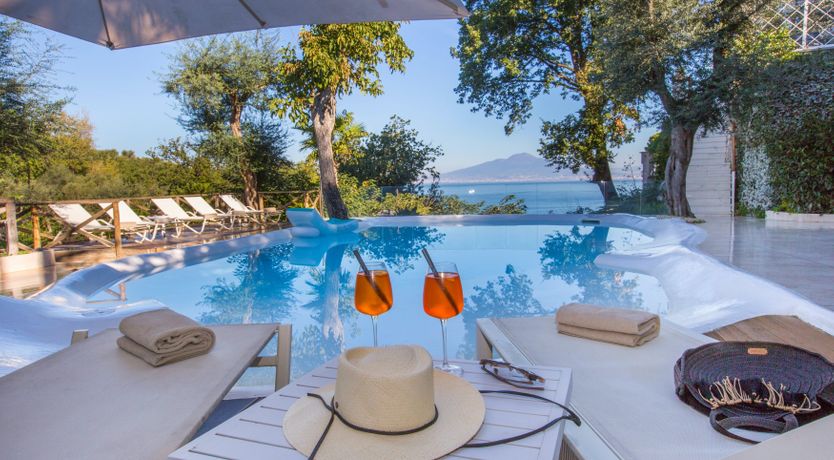 Photo of The Olive Palm